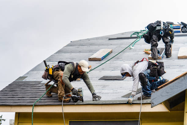 Professional Roof Replacement technician working in Hochheim, TX